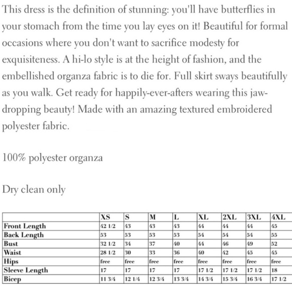 Dainty Jewells One Enchanting Evening Dress - Picture 6 of 6